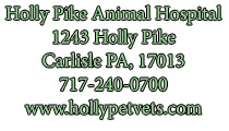 Holly Pike Animal Hospital